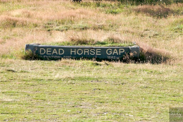 AustraliaEast 10  116